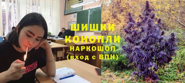 бошки Володарск