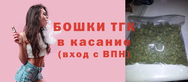 сатива Верея