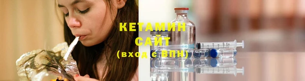 сатива Верея