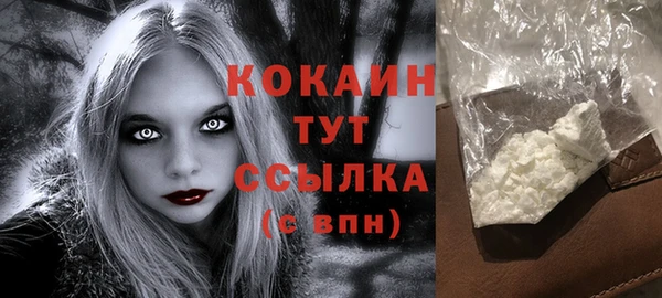 сатива Верея