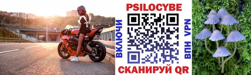 ОМГ ОМГ зеркало  Калач  Псилоцибиновые грибы Psilocybe 