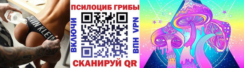 Псилоцибиновые грибы GOLDEN TEACHER Калач